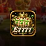 E7777 APP