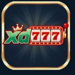xd777game king