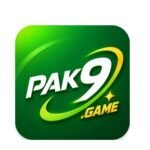 pak9 game king